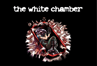The White Chamber cover art